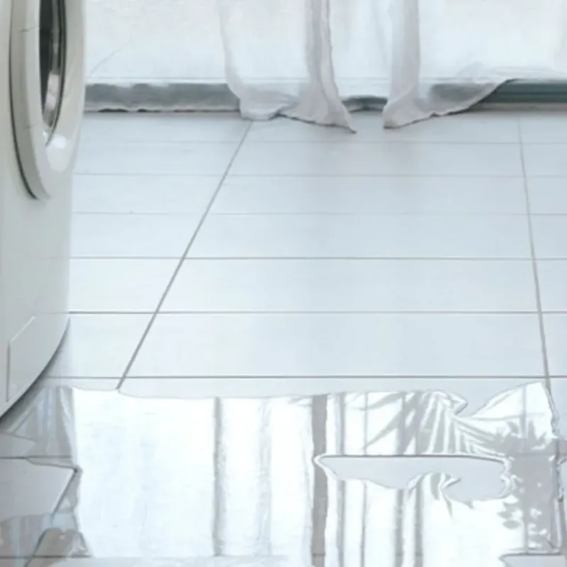 Appliance Leak Cleanup in South Lebanon, OH