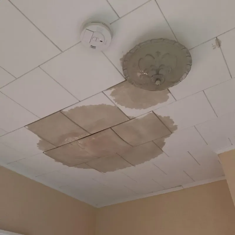 Ceiling Water Damage Repair in South Lebanon, OH