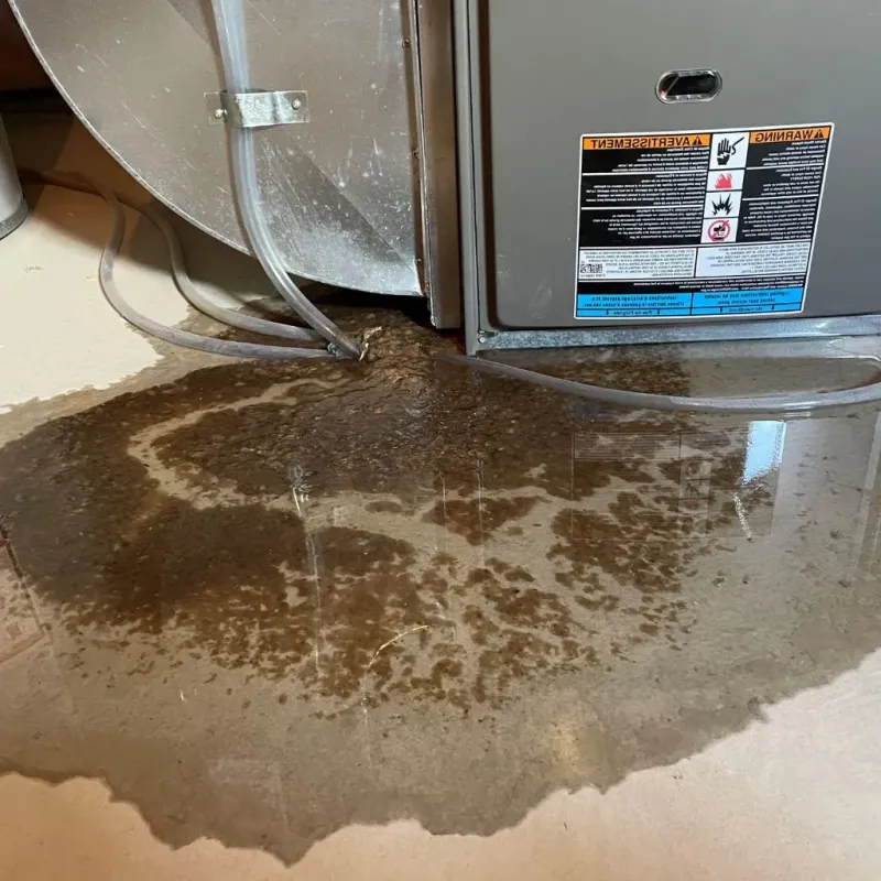 Pipe Burst and Leak Restoration in South Lebanon, OH